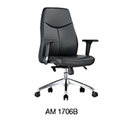 AM1706 