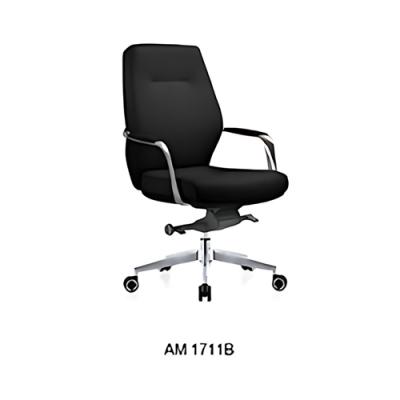 AM1711 