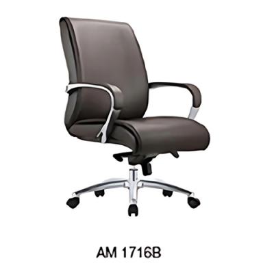AM1716 