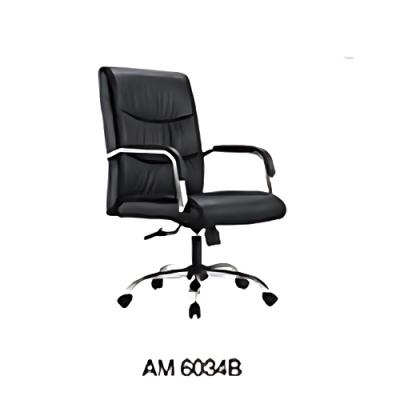 AM6034