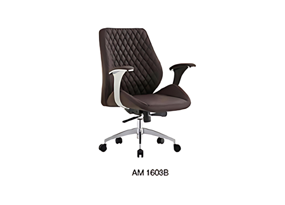 AM1603-1.jpg