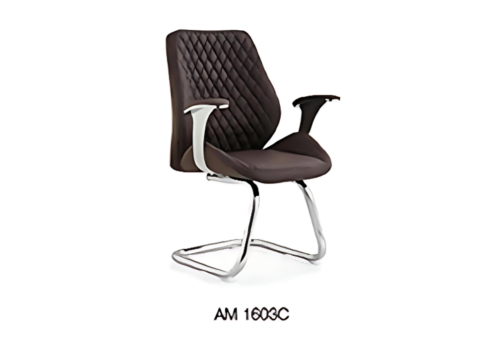 AM1603-2.jpg
