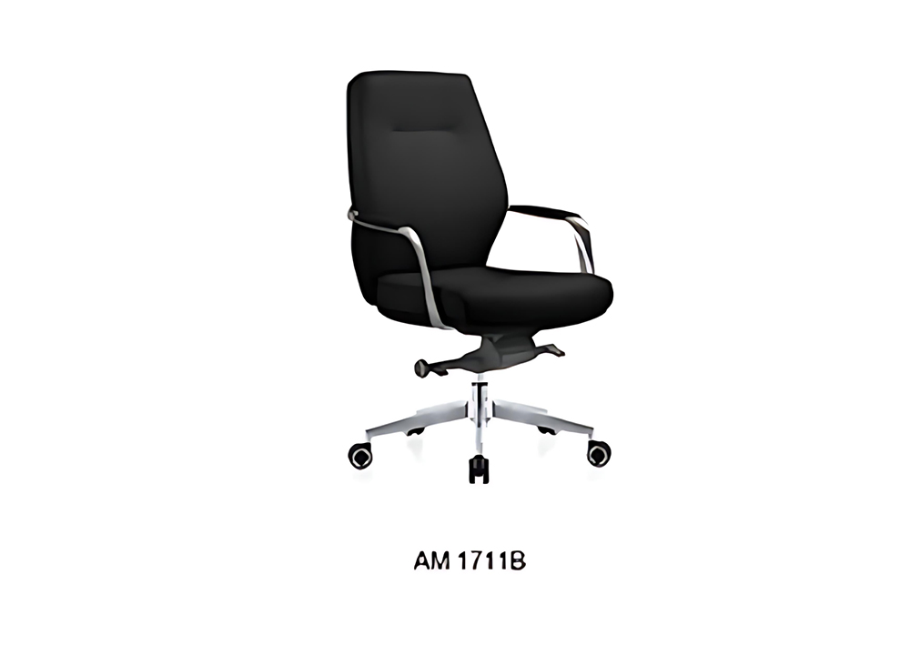 AM1711-1.jpg