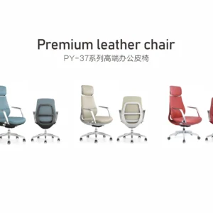 PY-37  Office Chair